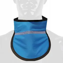 Thyroid Shield